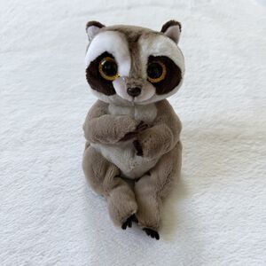 TY Beanie Baby (Beanie Bellies) - PETEY the Raccoon Plush (8 inch)